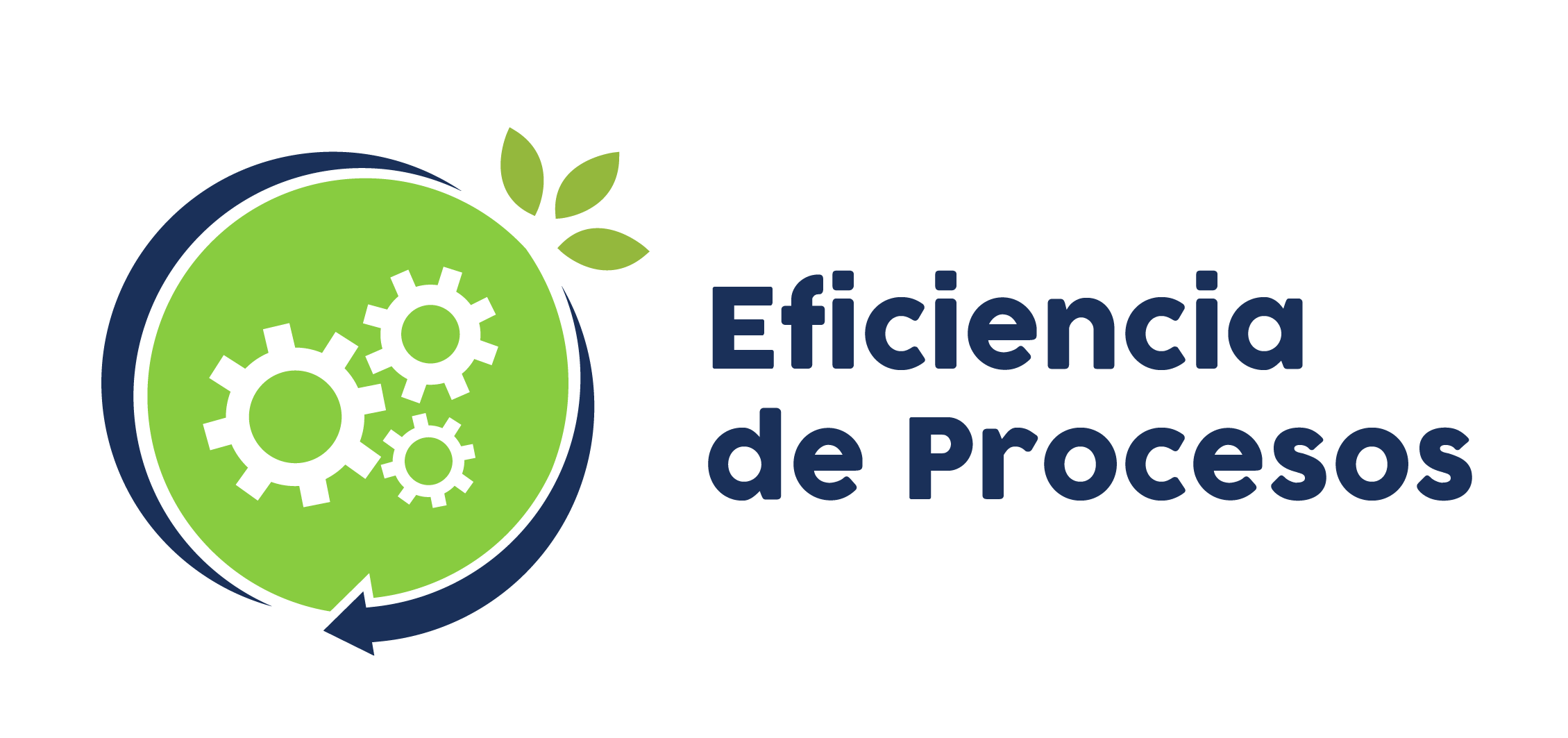 Eficiencia de procesos