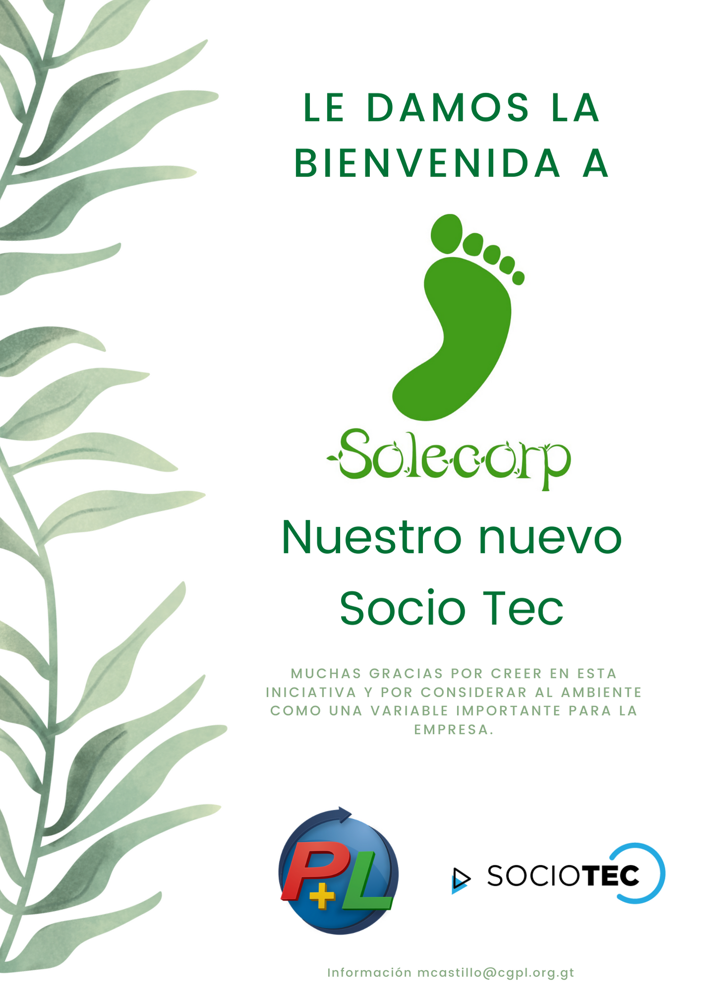 Le Damos La Bienvenida A Nuestro Nuevo Socio Tec, SOLECORP
