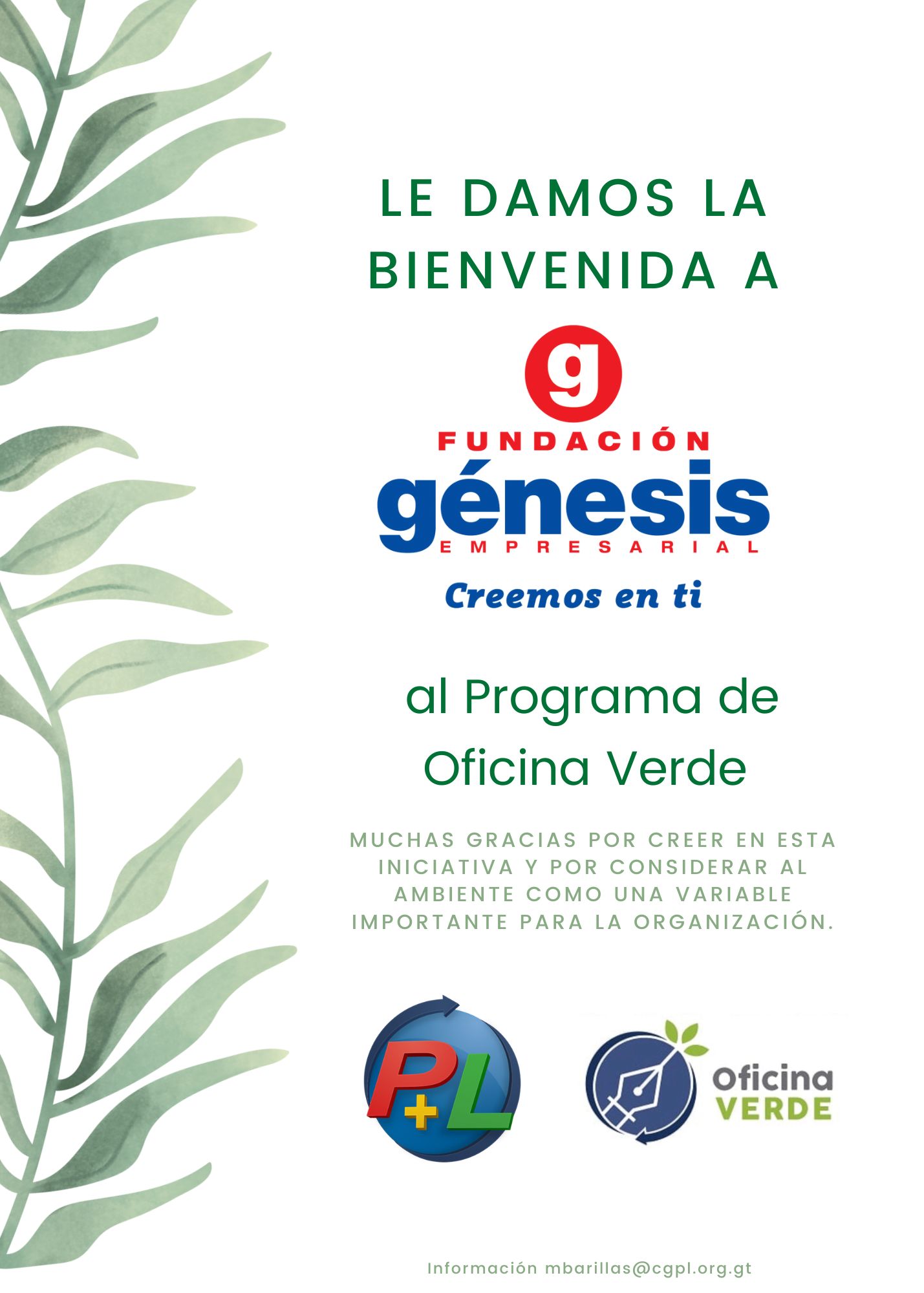 Le Damos La Cordial Bienvenida A Fundación Génesis Empresarial Al Programa De Oficina Verde