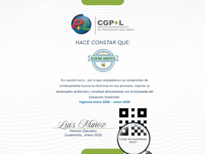 Imagen de WhatsApp 2025-06-09 a las 17.28.42_098d908c