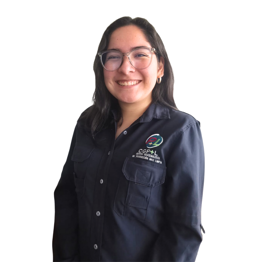 EJECUTIVA DE ACADEMIA AMBIENTAL

academiaambiental.cgpl@gmail.com